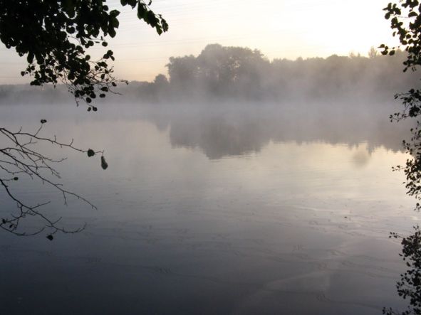 Morgenstimmung am westlichen See (Foto: Kreis Paderborn - Umweltamt)